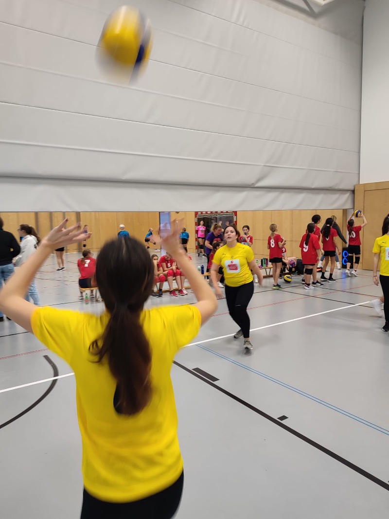 Volleyball 1.jpg
